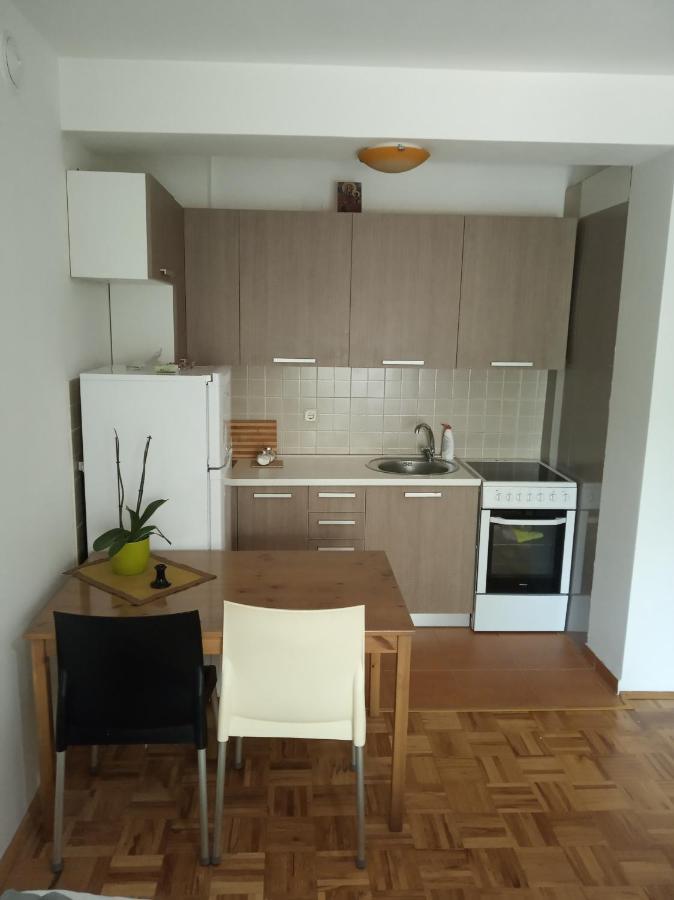 אוהריד Apartmen Damjan מראה חיצוני תמונה